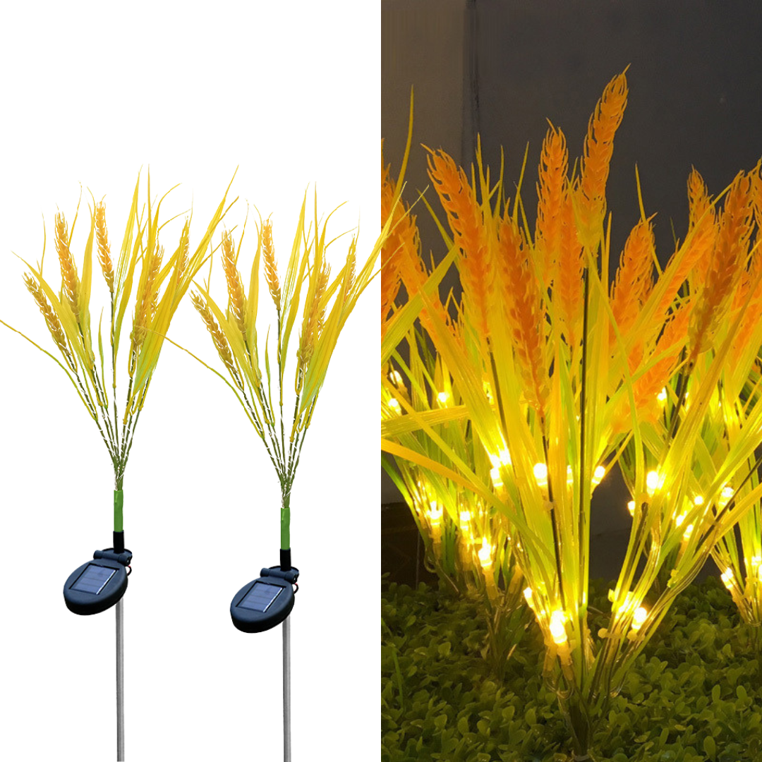 Set of 4 Decorative Solar Wheat Spike Lights M374-16, 60cm, IP66, LED with Light Sensor
