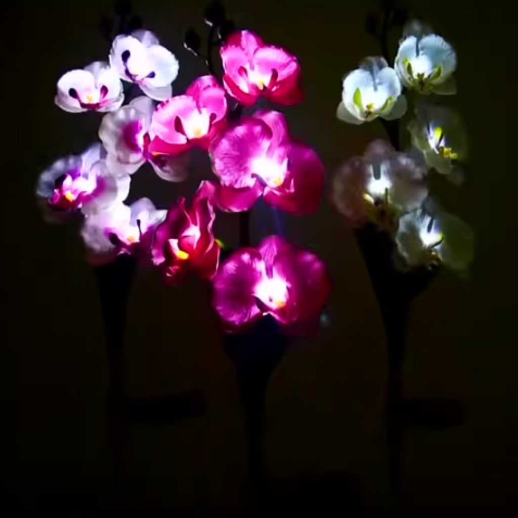 Set 2 x Lămpi Solare Orhidee cu LED – Decor Romantic pentru Grădină, Țăruș și Panou Solar