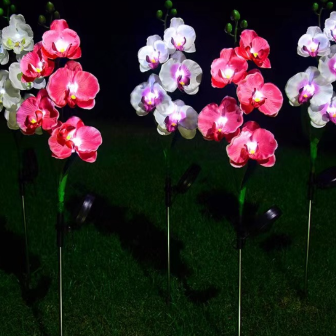Set 4 x Lămpi Solare Orhidee cu LED – Decor Romantic pentru Grădină, Tăruș și Panou Solar